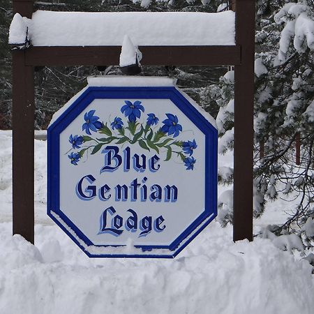 Blue Gentian Lodge At Magic Mountain Londonderry Exterior foto